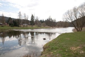 _MG_7665.JPG