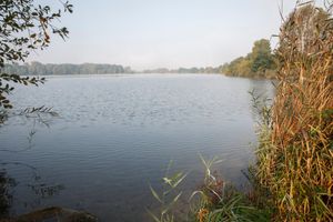 _MG_3207.jpg