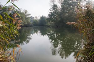_MG_3209.jpg