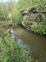 IMG20240414164357.jpg