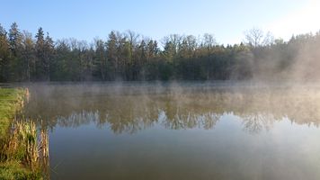 DSC_3385.JPG