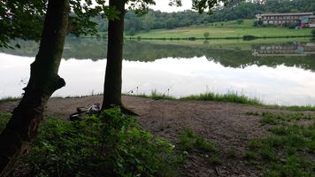 DSC_3866.JPG
