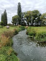 IMG20210917104811.jpg