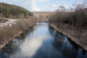 IMG_7597.jpg