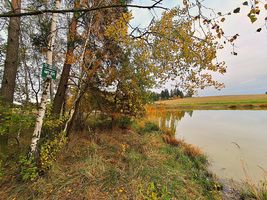 4.-Rybnik-Pribylak-oznaceni-tabulemi-23.10.24-2.jpg