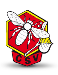 Logo csv