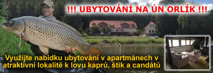 Apartmny